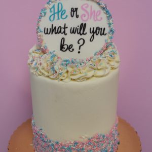 Gender Reveal