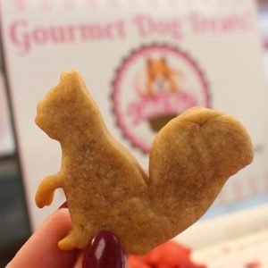 Squirrel Doggy Cookie